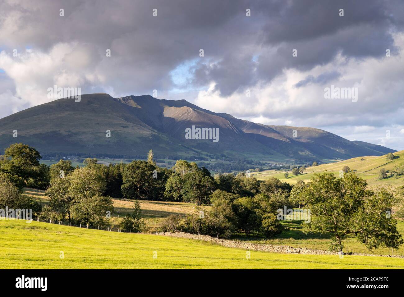 Campi e montagne a Castlerigg, Lake District, Inghilterra Foto Stock