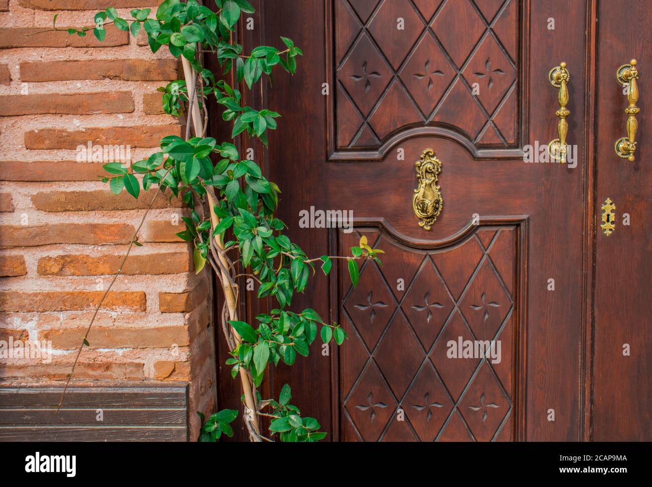 Vecchia porta in legno d'epoca con arco in mattoni. Porta anteriore, doppia porta marrone con entrata anteriore sicura. Foto Stock