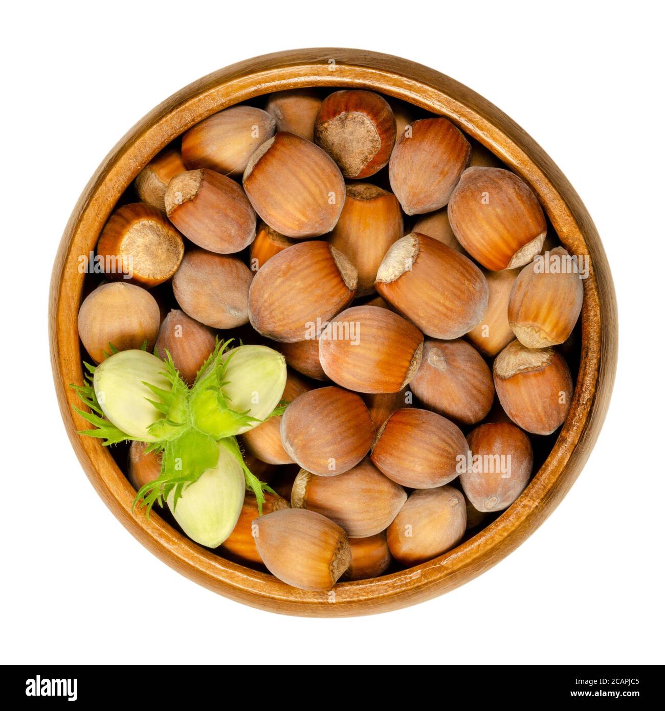 Nocciole sgusciate mature e non mature in ciotola di legno. Semi di Corylus avellana, specie autoctone in Europa. Frutti crudi commestibili nelle loro conchiglie. Foto Stock