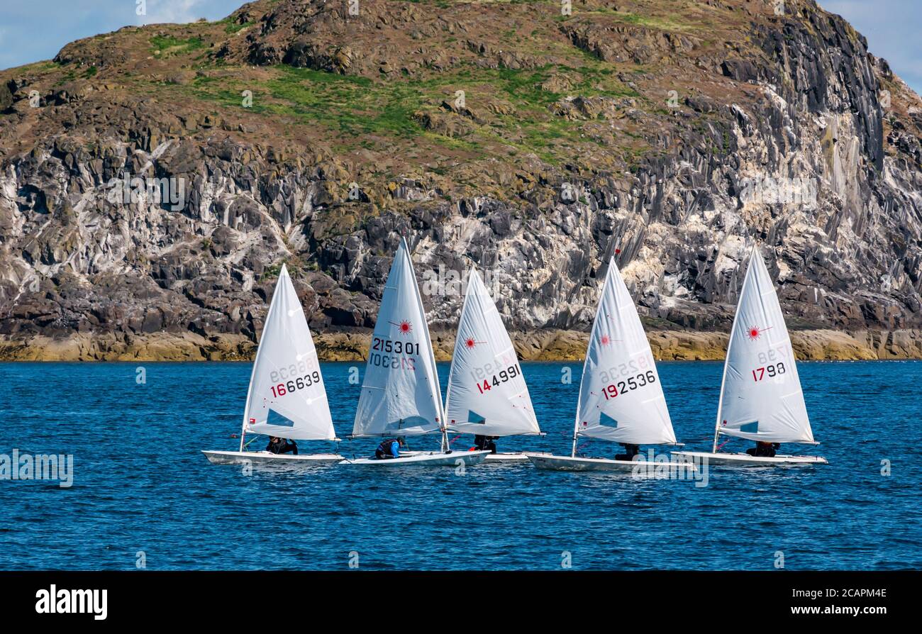 North Berwick, East Lothian, Scozia, 8 agosto 2020. Regno Unito Meteo: Giornata perfetta per gli sport acquatici. Una calda giornata di sole nel Firth of Forth attira la gente a prendere in acqua. East Lothian Yacht Club organizza una gara di club con gommoni laser che navigano oltre l'isola di Craigleith Foto Stock