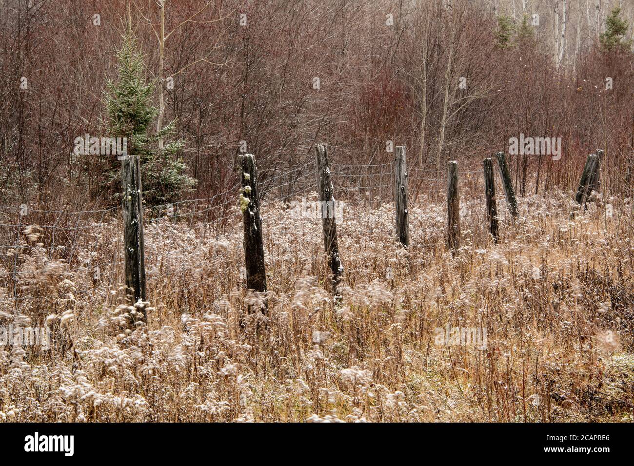 Recinzione, Greater Sudbury, Ontario, Canada Foto Stock