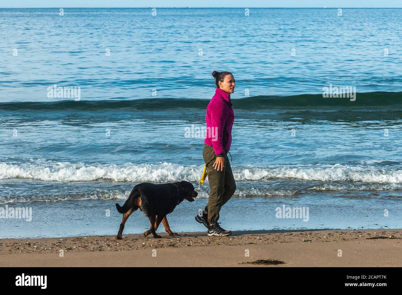 Red Strand, West Cork, Irlanda. 8 agosto 2020. Una donna cammina il suo cane su Red Strand Beach vicino Clonakilty su una previsione di giorno per il sole e gli alti di 19 a 24 gradi. Credit: AG News/Alamy Live News Foto Stock