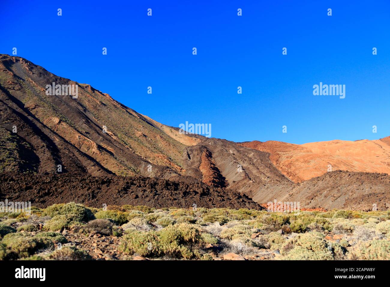 Parco nazionale Teide a Tenerife, Isole Canarie, Spagna. Foto Stock