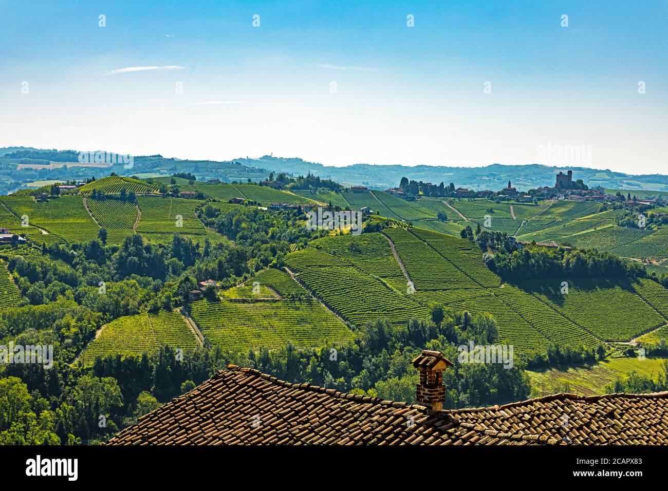 Vista da Castiglione Falletto sul Barolo in Italia Foto Stock