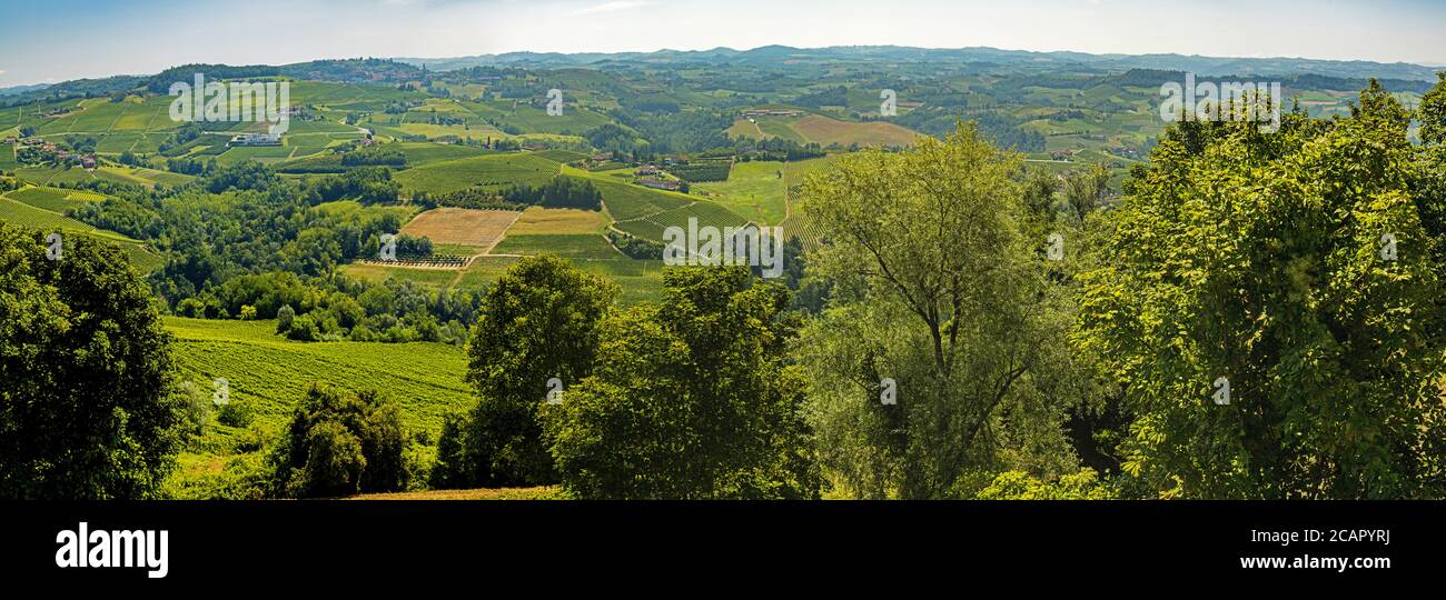 Vista da Novello in Italia sulla regione vinicola Foto Stock