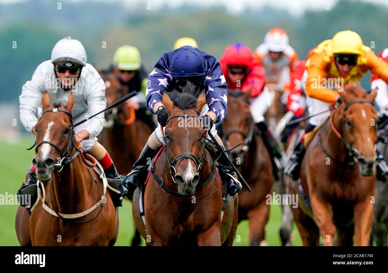 Island Brave guidato dal fantino Martin Dwyer (centro) sulla loro strada per vincere il duty free Millenium Millionaire handicap di Dubai all'ippodromo Ascot. Foto Stock