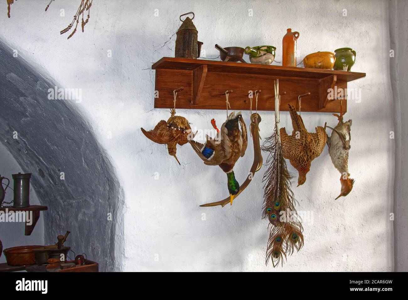 Cucina; mensola in legno, impiccagione di uccelli, contenitori in ceramica, alcova, Castello di Marksburg; 1231; Valle del Reno; Sito Patrimonio dell'Umanità dell'UNESCO; Europa, Boppard Foto Stock