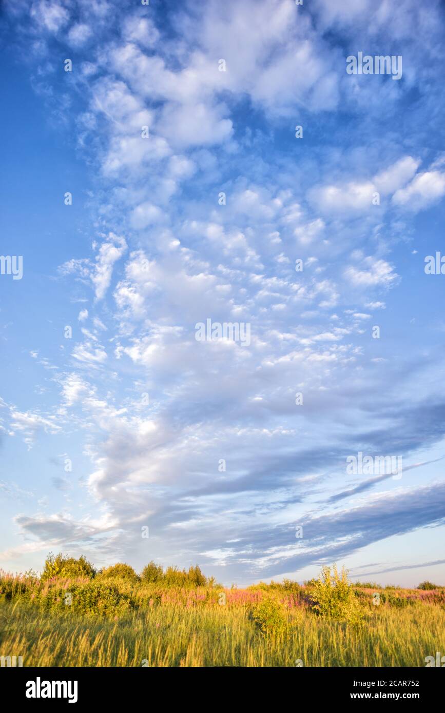 Bellissimo paesaggio rurale con cielo blu con nuvole su un estate mattina prato con fiori selvatici Foto Stock
