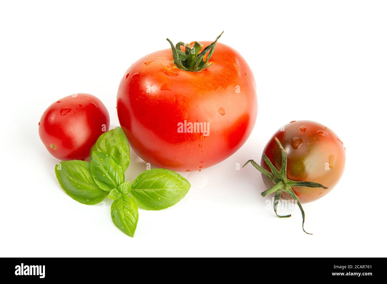 Pomodori freschi assortiti e basilico isolato su sfondo bianco. Cibo sano Foto Stock