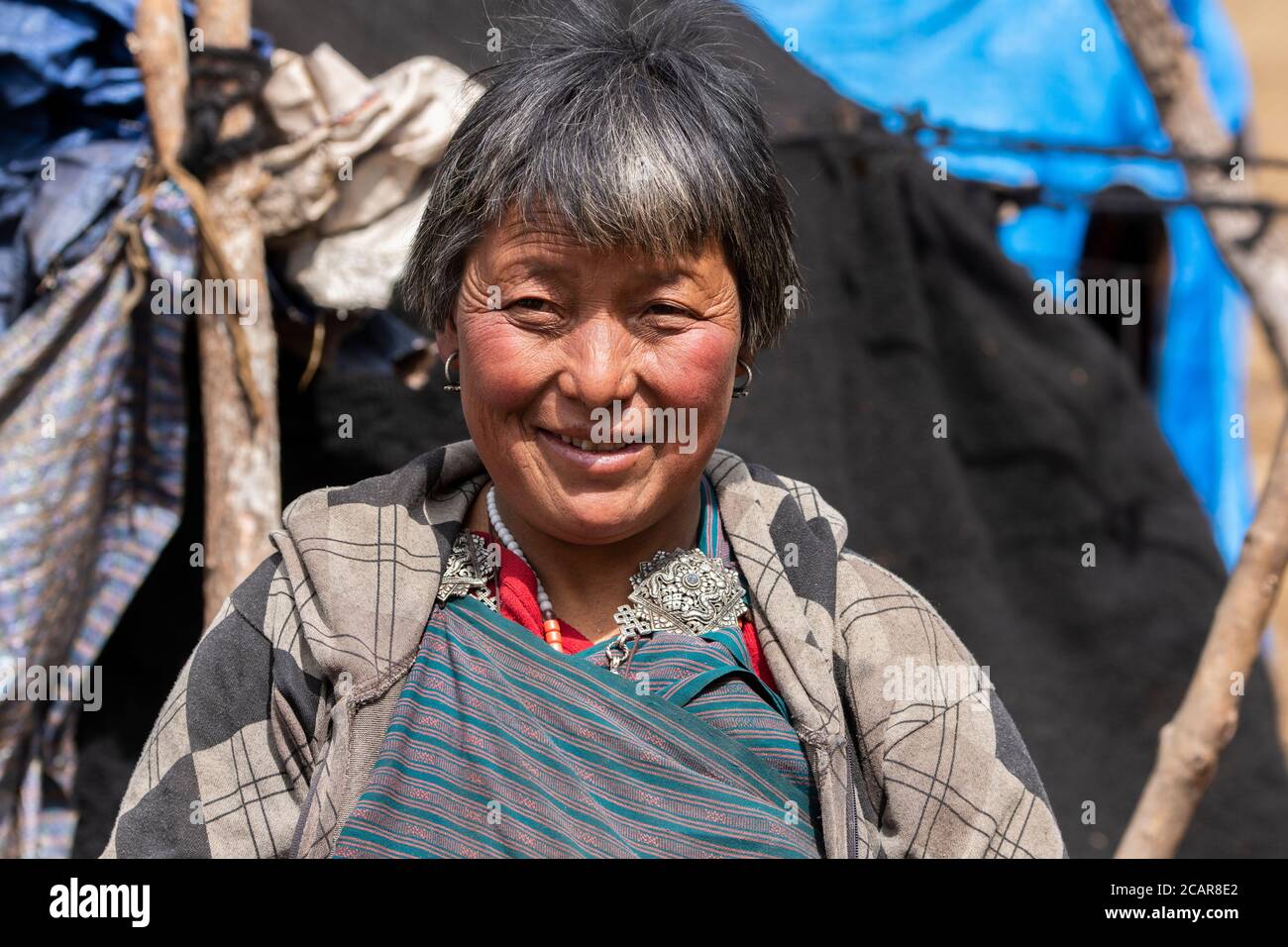 Bhutan, Passo di Lawala. Secondo passo di montagna più alto nel Bhutan (3,000 metri / oltre 10,000 piedi) Lone nomade mandria di yak femmina. Foto Stock