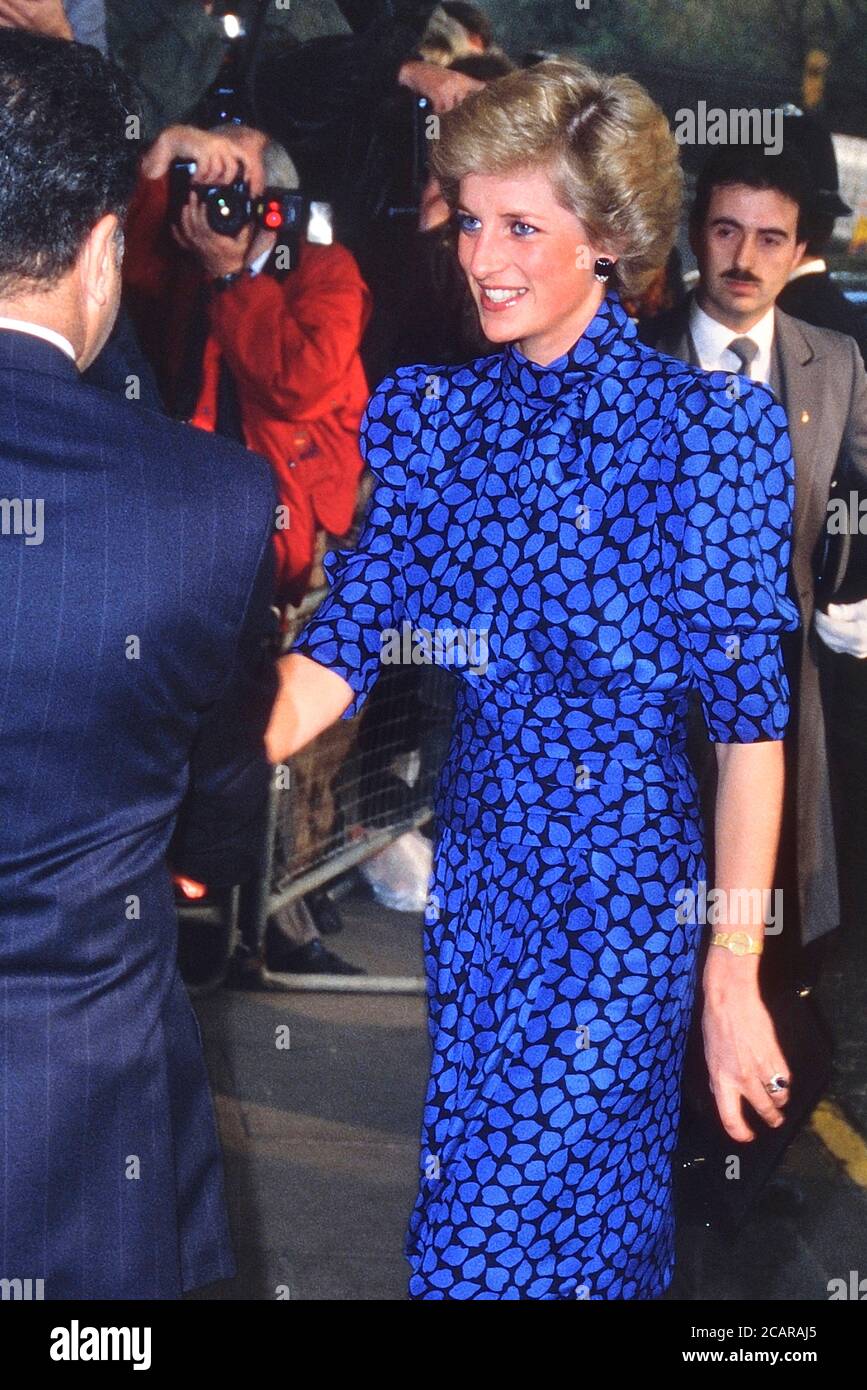 Un sorriso HRH LA PRINCIPESSA DEL GALLES, PRINCIPESSA DIANA arriva al Premio Standard serale al Savoy Hotel, Londra, Gran Bretagna - Novembre 1989 Foto Stock