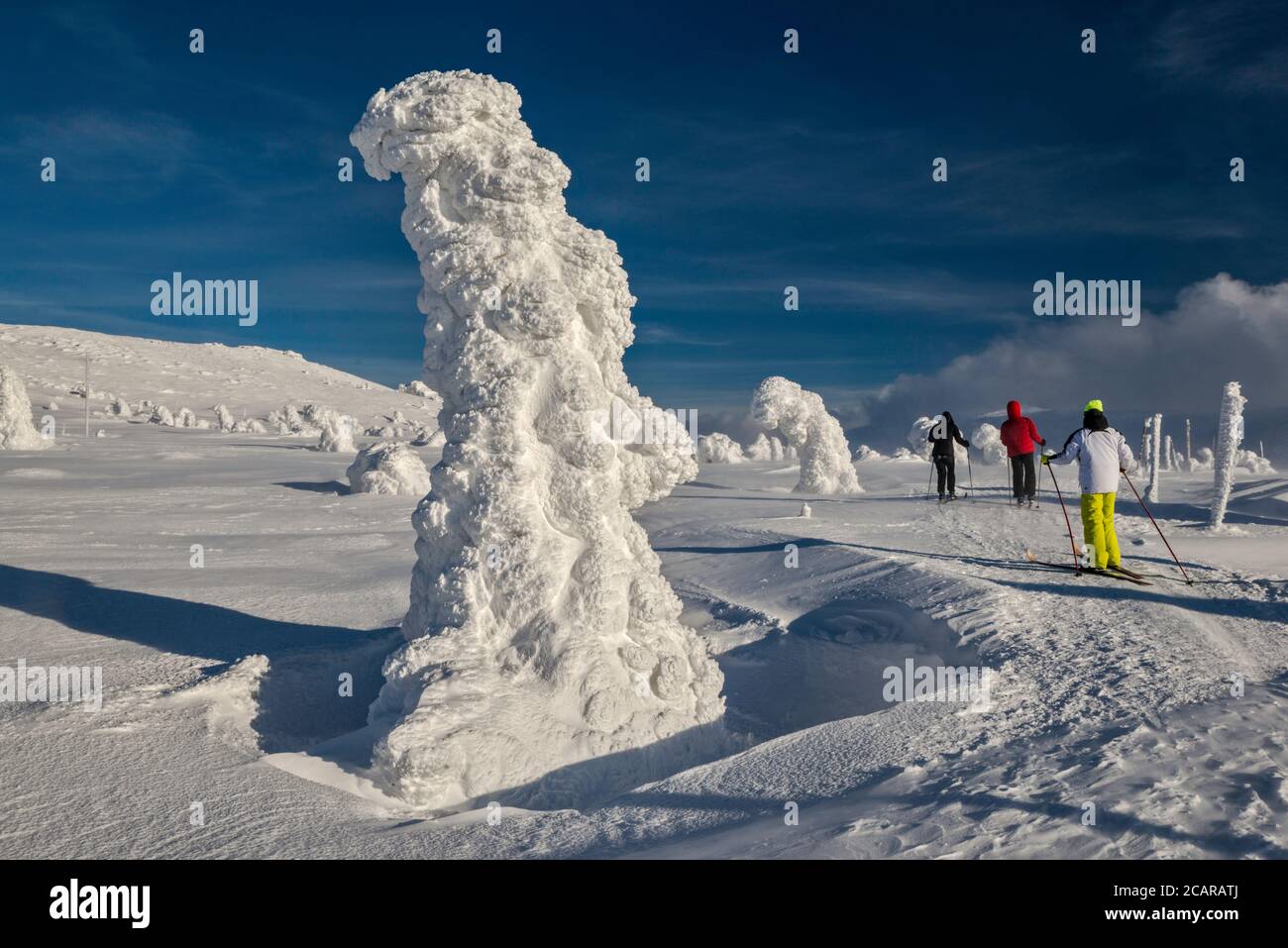 Sciatori in pista, pini nani, ghiaccio e neve racchiusi, zona subalpina sotto la cima Szrenica, Parco Nazionale Karkonosze, Polonia Foto Stock