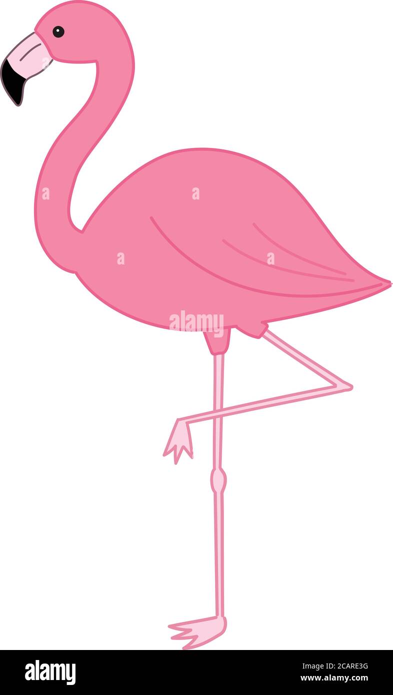 Uccello Flamingo in piedi su una gamba. Illustrazione vettoriale isolata su sfondo bianco. Illustrazione Vettoriale