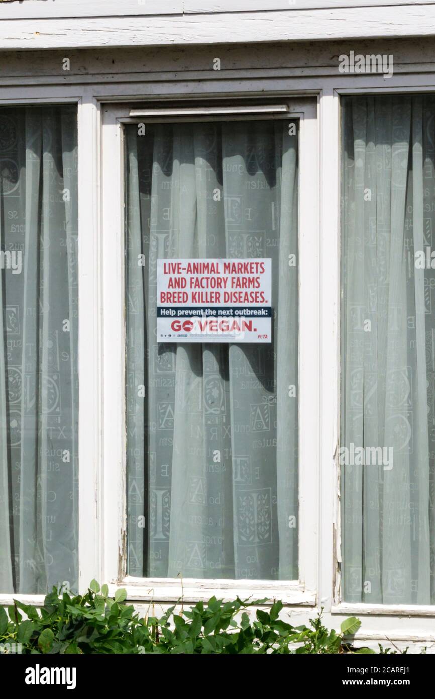 Un segno di PETA in una finestra della casa legge Live-Animal Markets e Factory Farms Breed Killer Diseases. Vai Vegan. Foto Stock