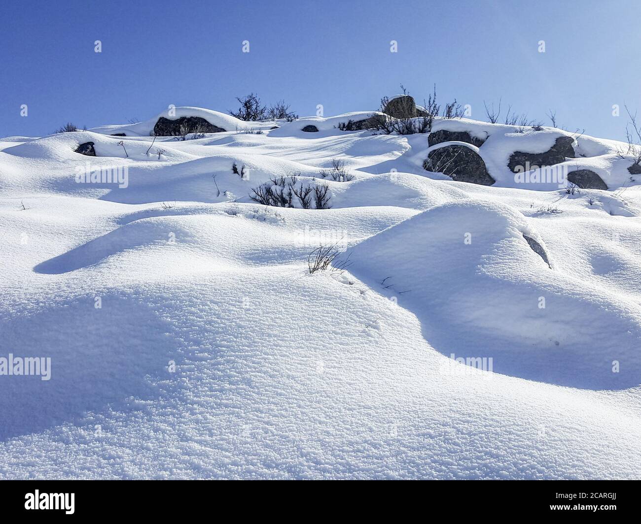 Le soffici e fredde coperte di neve coprono una collina nel Cowiche Canyon di Yakima, Washington, in una giornata limpida. Foto Stock