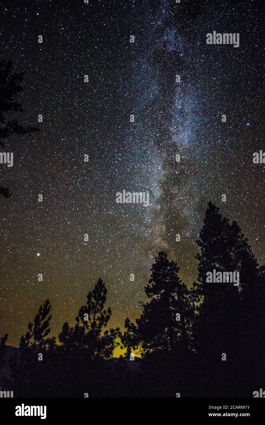 Cielo stellato infinito con modo lattiginoso in una foresta di stato di Washington con Marte in lontananza. Foto Stock