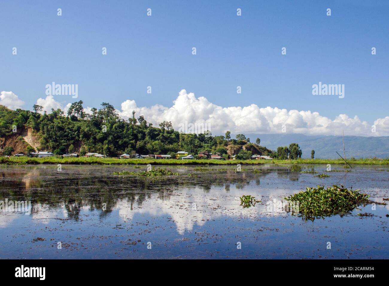 bella natura e ambiente al lago di loktak manipur india Foto Stock