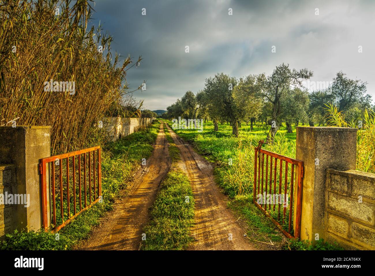 cancello in metallo aperto su un sentiero sterrato in campagna Foto Stock