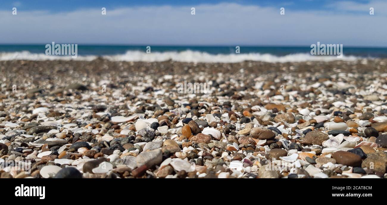 Bella e soleggiata spiaggia piena di conchiglie Foto Stock