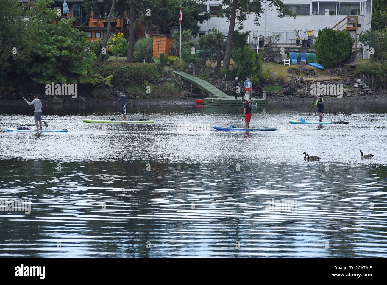 Alzati in piedi per i paddle lungo le acque della gola di Saanich, British Columbia, Canada, sull'isola di Vancouver. Foto Stock