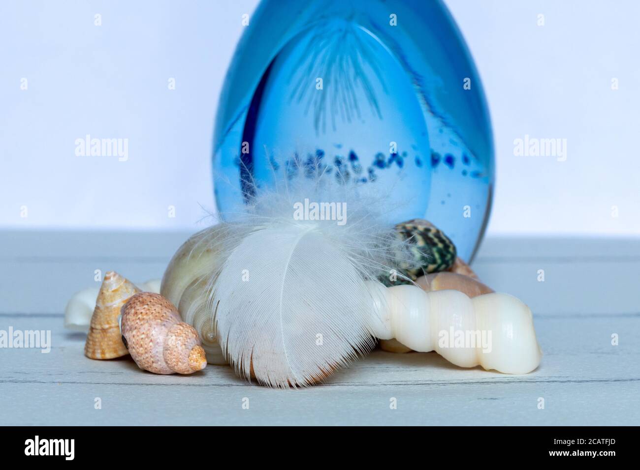 Conchiglie da spiaggia e una piuma d'uccello con un vetro blu palla che dà un tema spiaggia Foto Stock