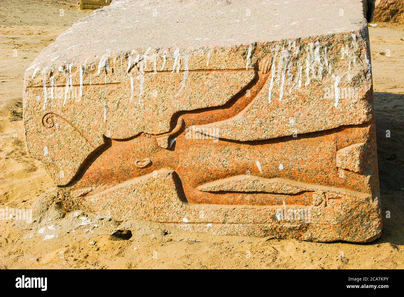 Egitto, Delta del Nilo, Tanis, mostra di numerosi manufatti antichi: Un re o un dio, con la corona Pschent, una barba e il segno Ankh. Foto Stock