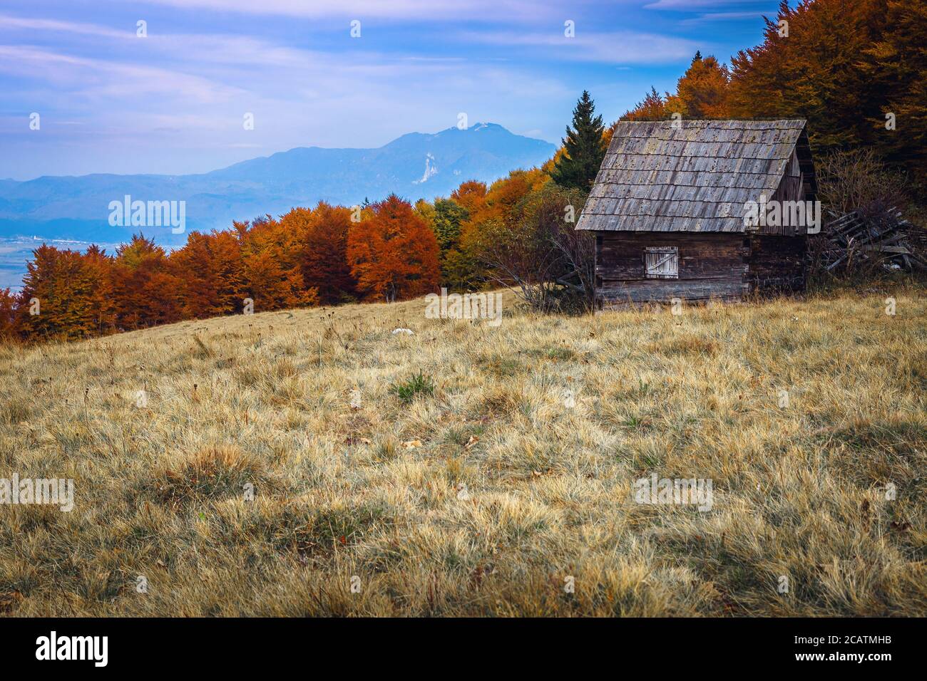 Splendido paesaggio alpino autunnale, malgia capanna di legno vicino a colorata foresta decidua e alte montagne sullo sfondo vicino a Brasov, Magura, Transilvania, Foto Stock