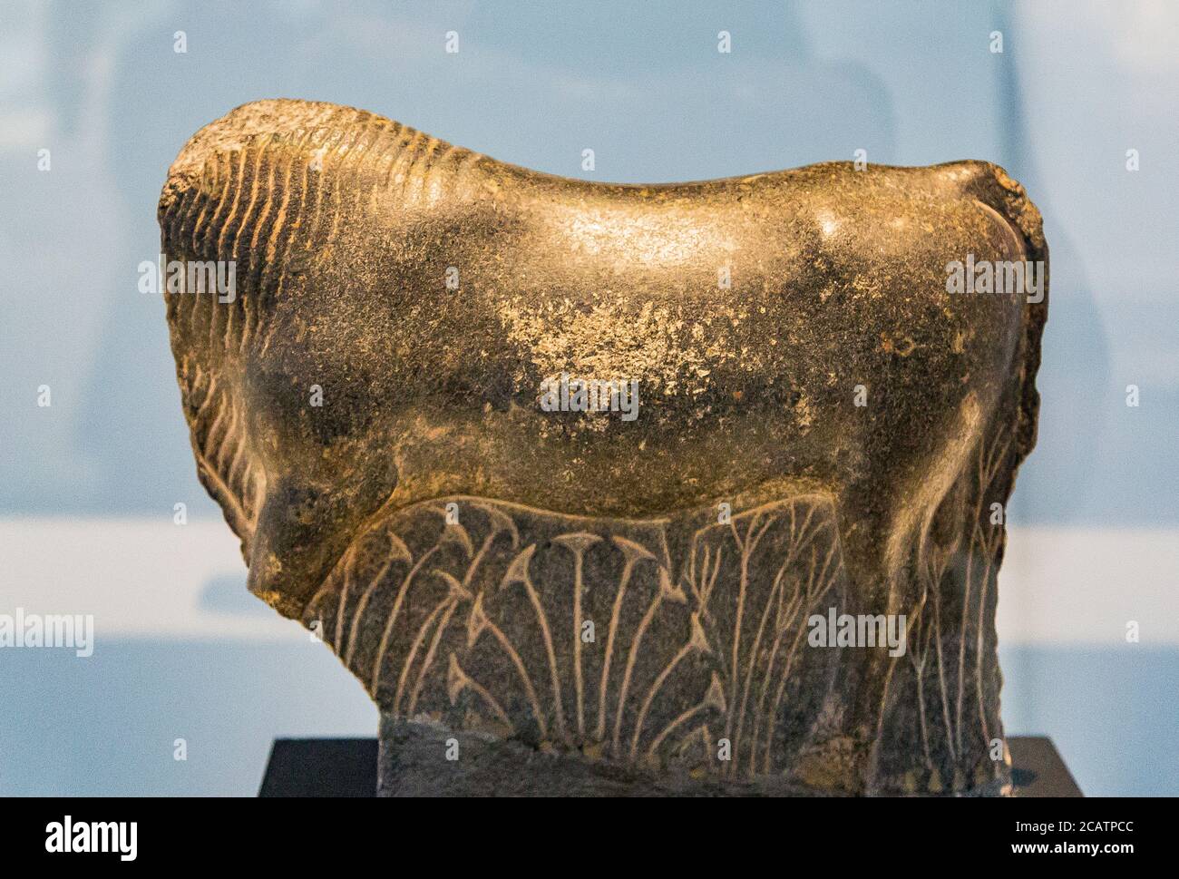 Mostra 'il regno animale nell'antico Egitto', organizzata nel 2015 dal Museo del Louvre di Lens. Statua di un toro, diorite, periodo in riva al mare. Foto Stock