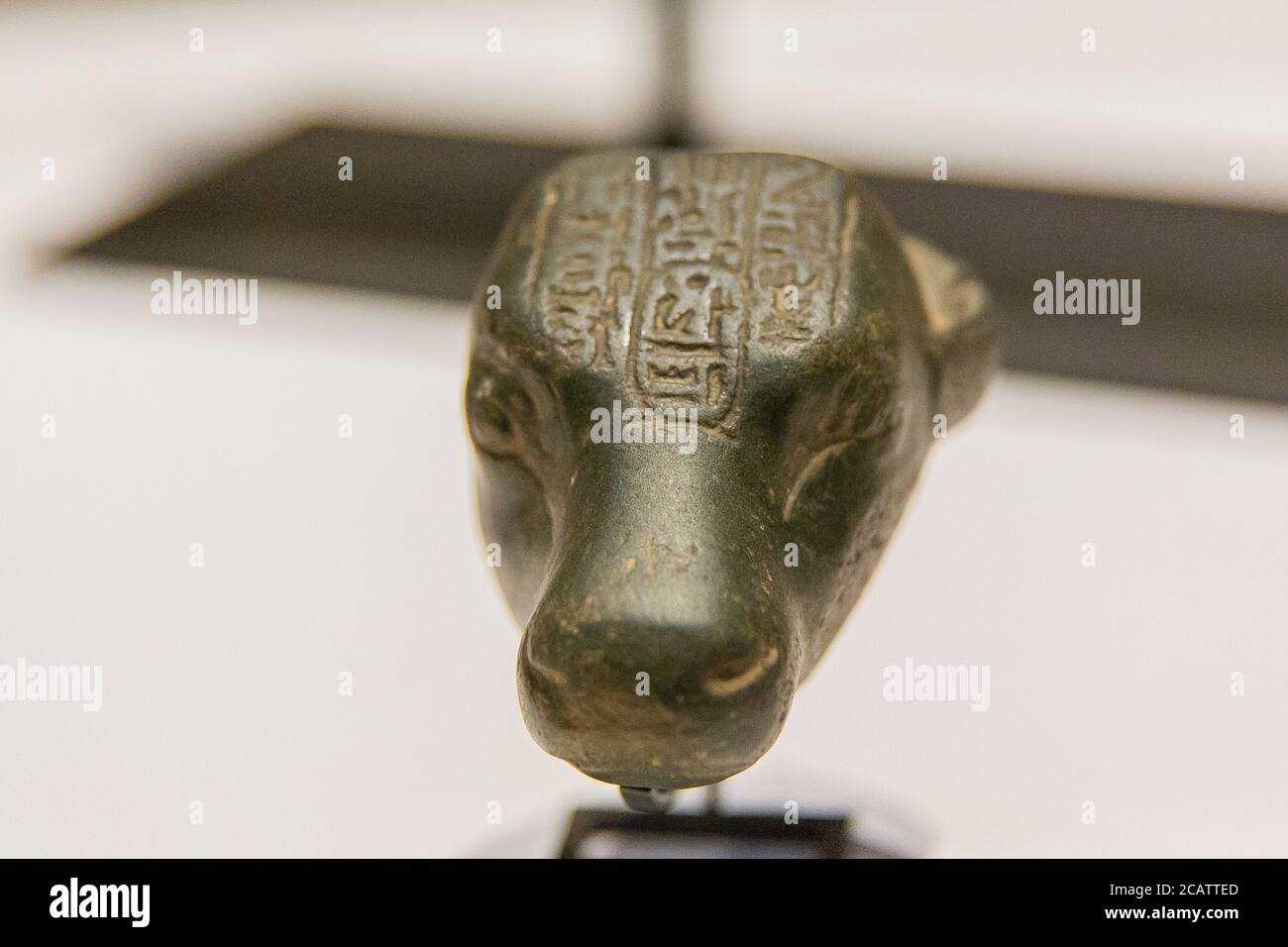 Mostra 'il regno animale nell'antico Egitto', organizzata nel 2015 dal Museo del Louvre di Lens. Peso sotto forma di testa di un vitello. Foto Stock