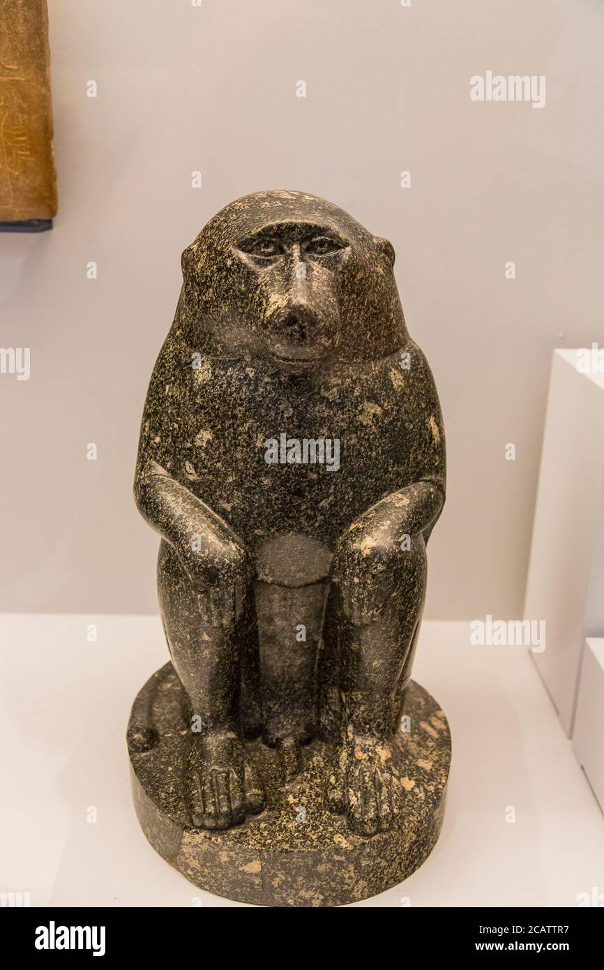 Mostra 'il regno animale nell'antico Egitto', organizzata nel 2015 dal Museo del Louvre di Lens. Baboon di Thot, periodo romano. Foto Stock