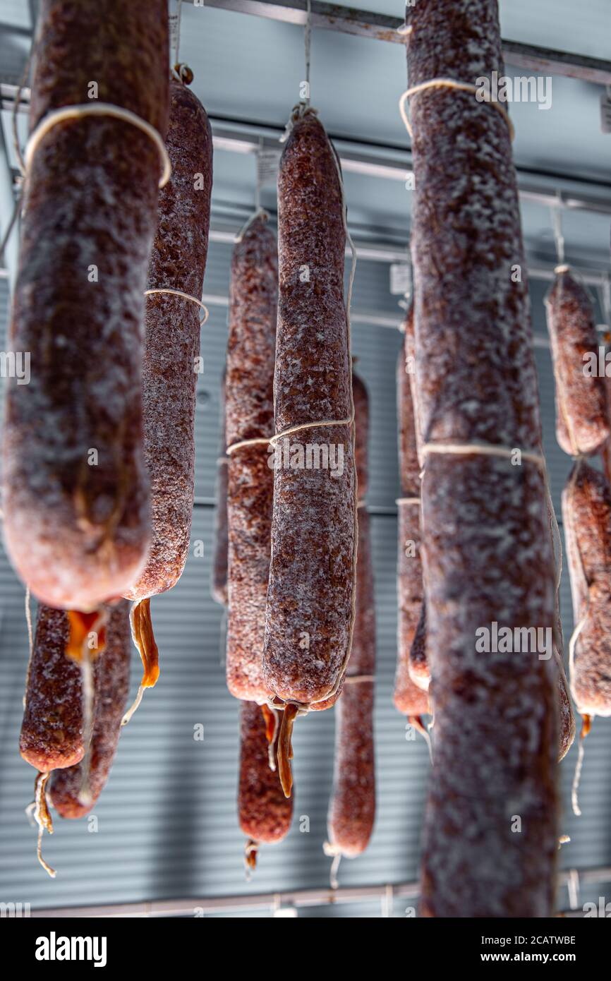 La muffa è ideale per i salumi tradizionali, essiccati a bassa temperatura e bassa umidità Foto Stock