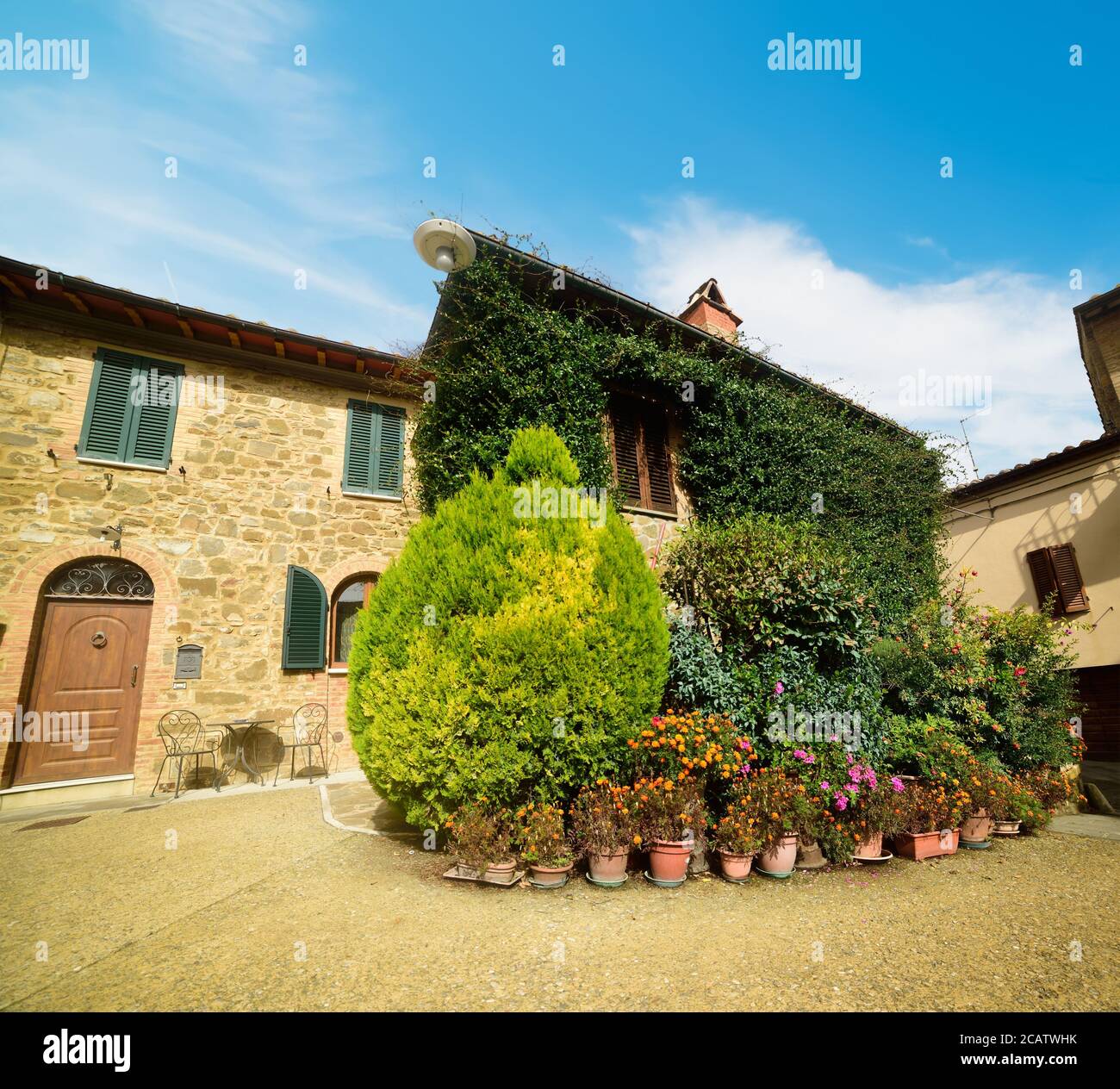 Fiori in una piccola piazza di Montalcino, Italia Foto Stock