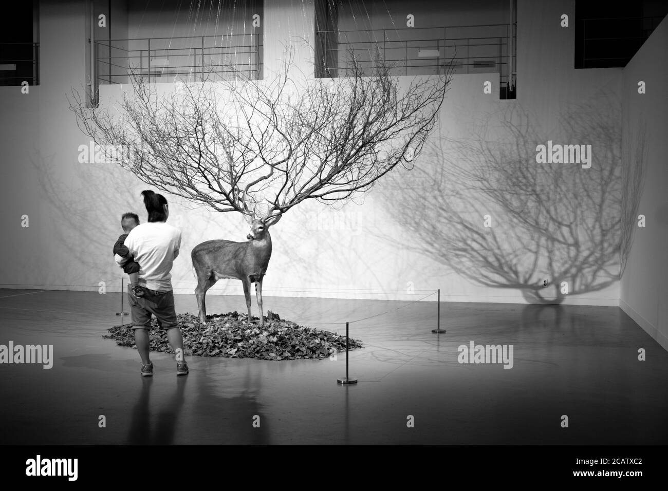 All'interno del museo in Corea del Sud Foto Stock