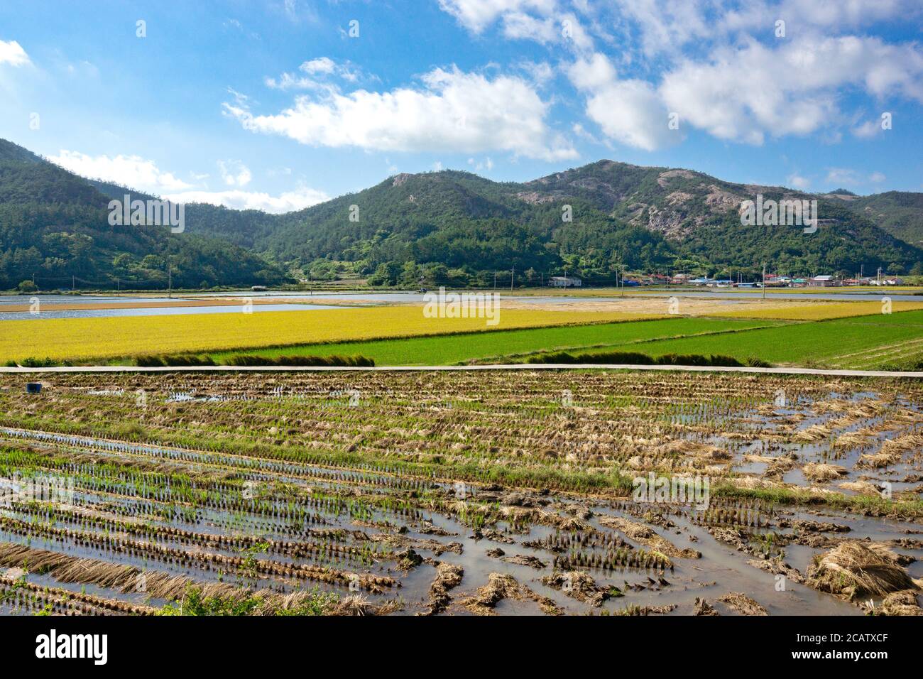 L'agricoltura del villaggio in Corea del Sud Foto Stock