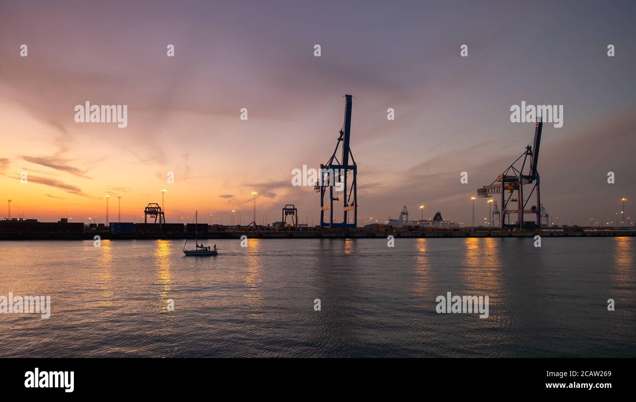 Terminal dei container nel porto di Zeebrugge al tramonto. Vista dalla piattaforma di osservazione vicino al monumento 'Visserskruis'. Foto Stock