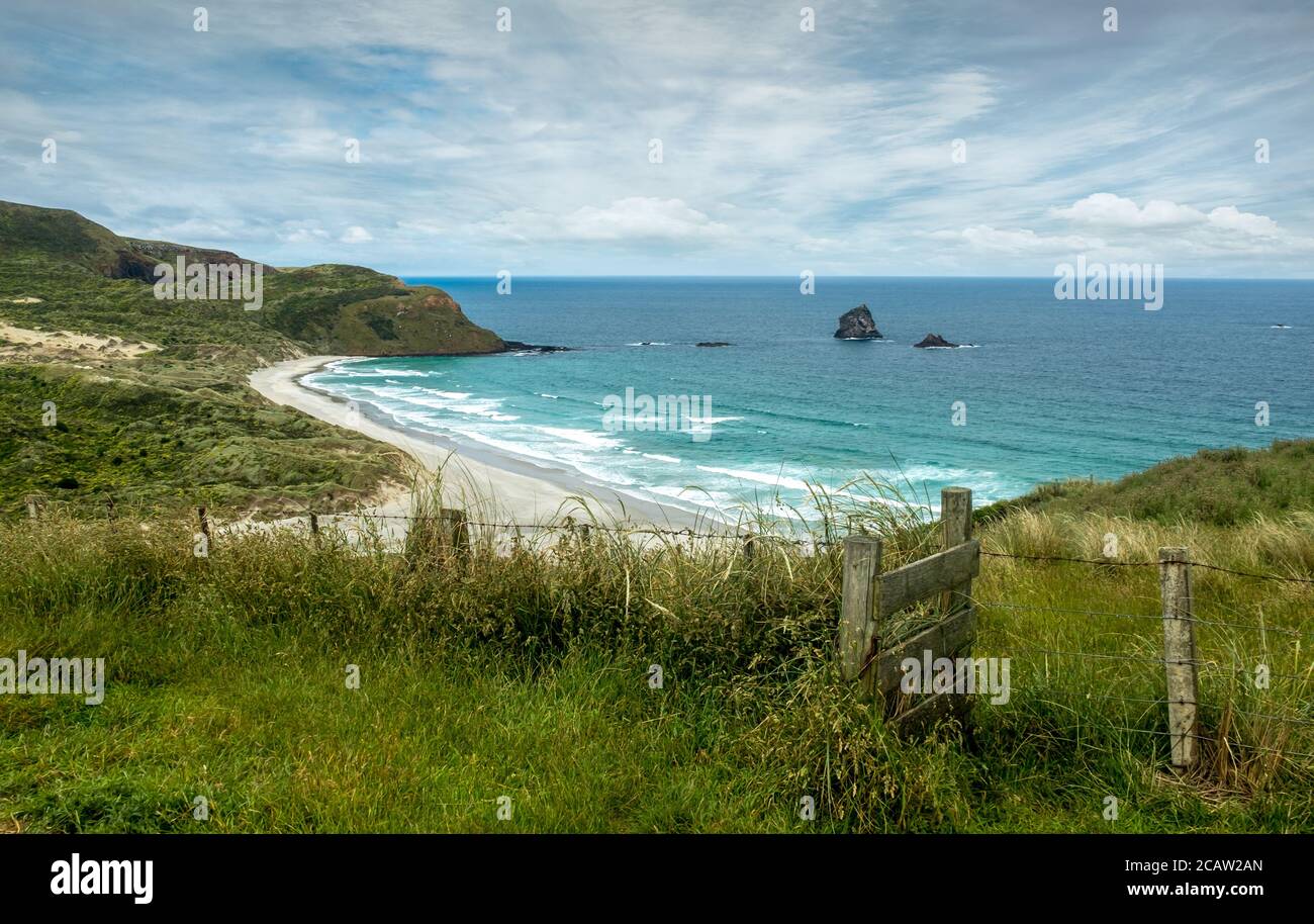 Nuova Zelanda la penisola di Otago. Sanfly beach e la costa del Pacifico. Foto Stock