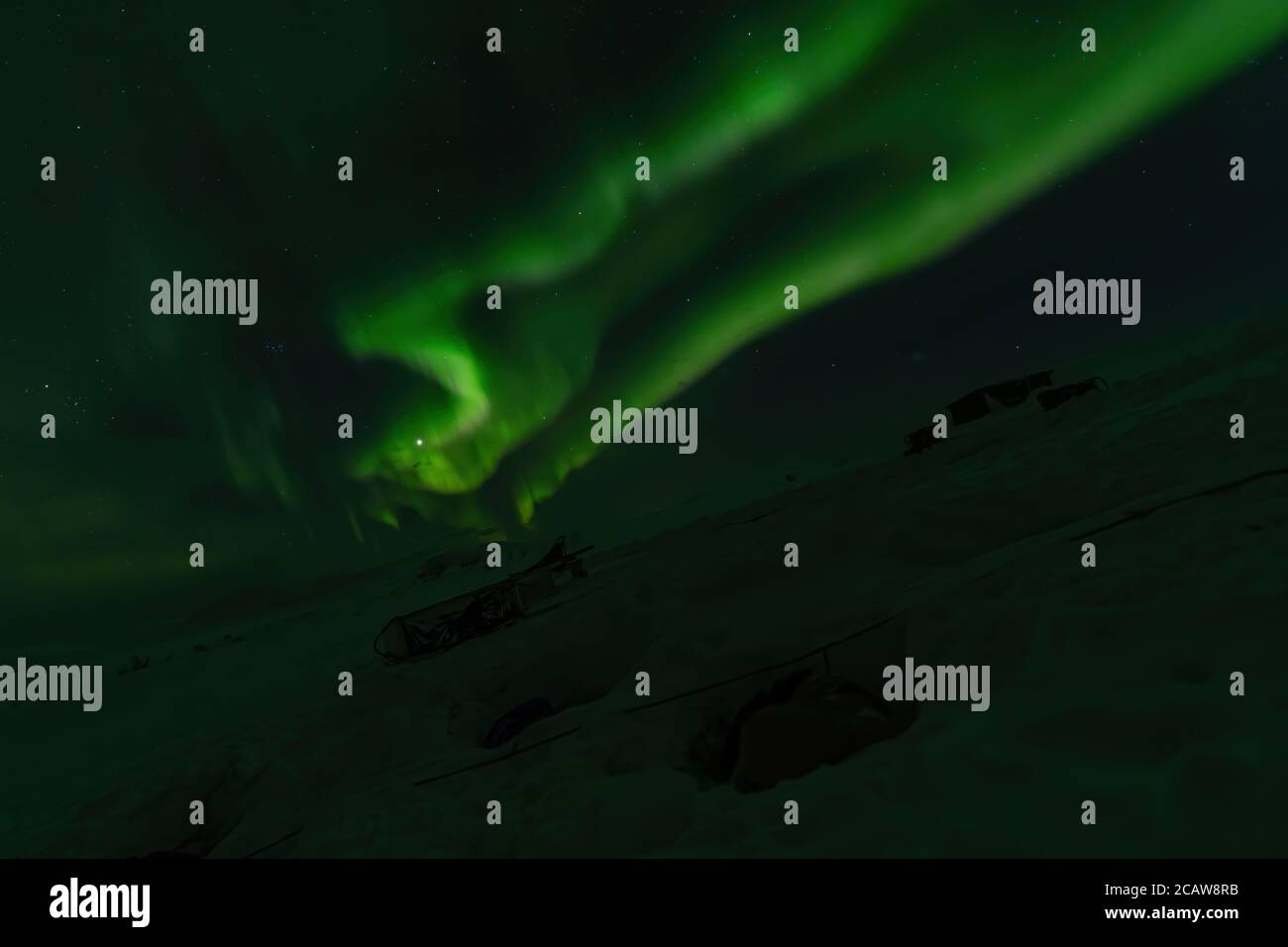 Aurora boreale su cani da slitta che dormono in Lapponia, Svezia Foto Stock