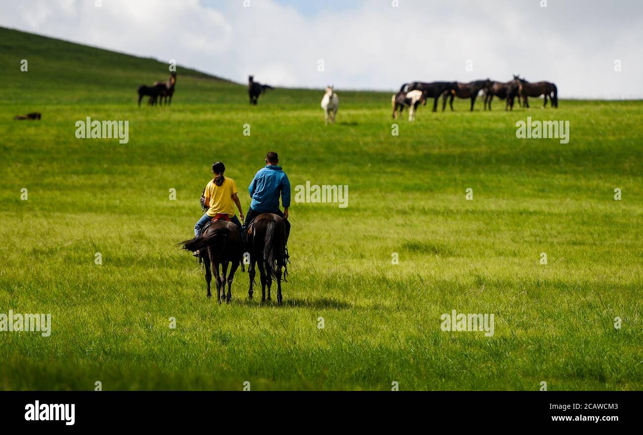 (200809) -- XILIN GOL, 9 agosto 2020 (Xinhua) -- Xilinhua (L) e suo padre Gangsuhe cavalcano cavalli nel loro ranch di famiglia sulla prateria Baiyinxile a Xilinhot, regione Autonoma della Mongolia interna della Cina del nord, 4 agosto 2020. La vendetta estiva è stata il periodo dell'anno preferito di Xilinhua. Per frequentare la scuola media, l'età di 14 anni vive la maggior parte del tempo con i suoi nonni nel centro di Xilinhot, separati dai suoi genitori che gestiscono un ranch sul pascolo Baiyinxile. Pertanto, l'estate significa sia rilassamento che ricongiungimento al settimo grado. Gangsuhe, padre di Xilinhua, è un famoso cavaliere. L Foto Stock