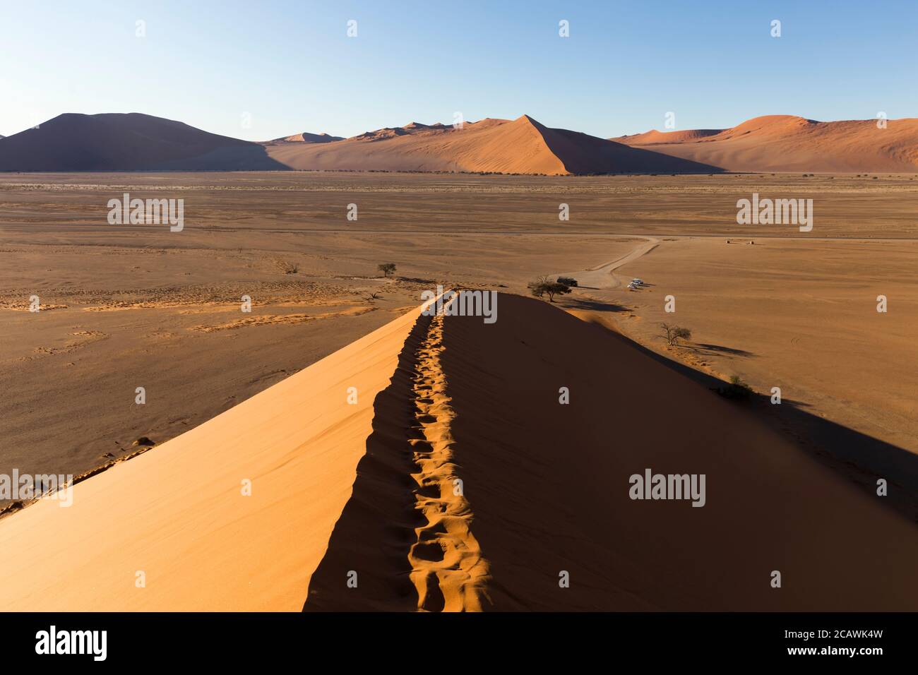 Vista dalla duna 45 nel deserto del Namib, Sossusvlei, nel Parco Nazionale Namib-Naukluft della Namibia Foto Stock