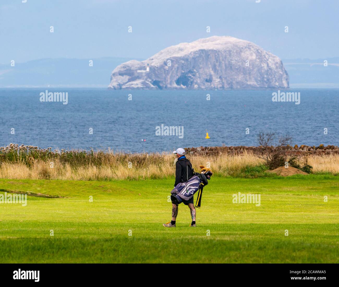 East Lothian, Scozia, Regno Unito, 9 agosto 2020. UK Weather: Sunny Summer  Day per gli sport all'aperto. Un golfista con tatuaggi che porta una borsa da  golf Callaway con mazze sul campo