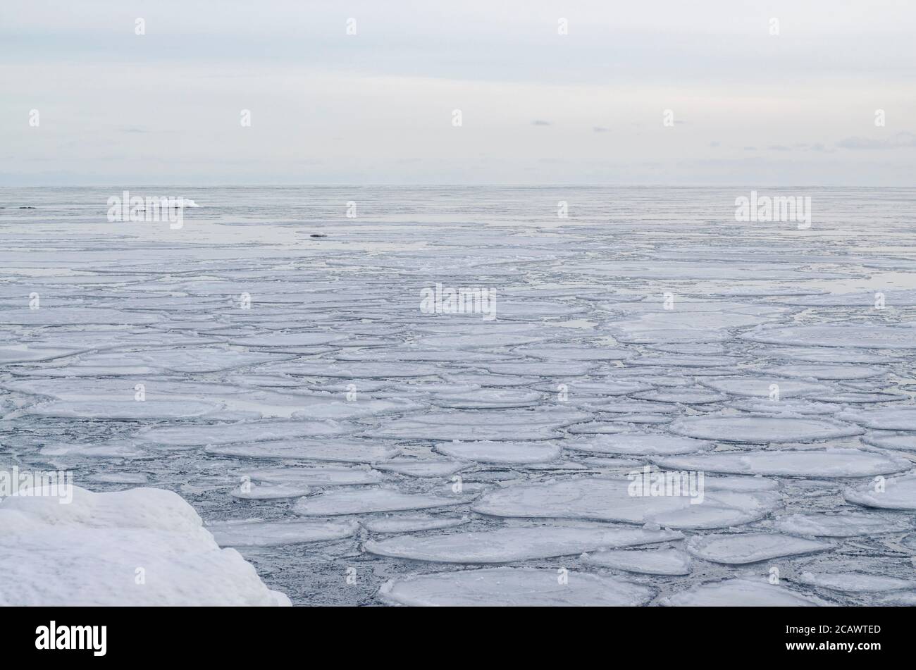 Spiaggia invernale, icicles, mare, rocce sullo sfondo, Baia di Tikhaya, Isola di Sakhalin, Mare di Okhotsk Foto Stock