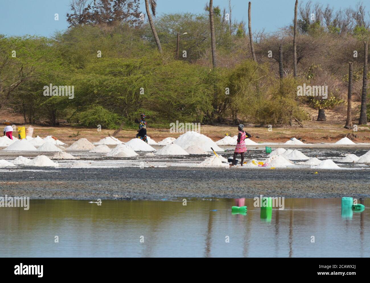 Raccoglitori di sale artigianali che lavorano vicino a Lompoul, Senegal Foto Stock