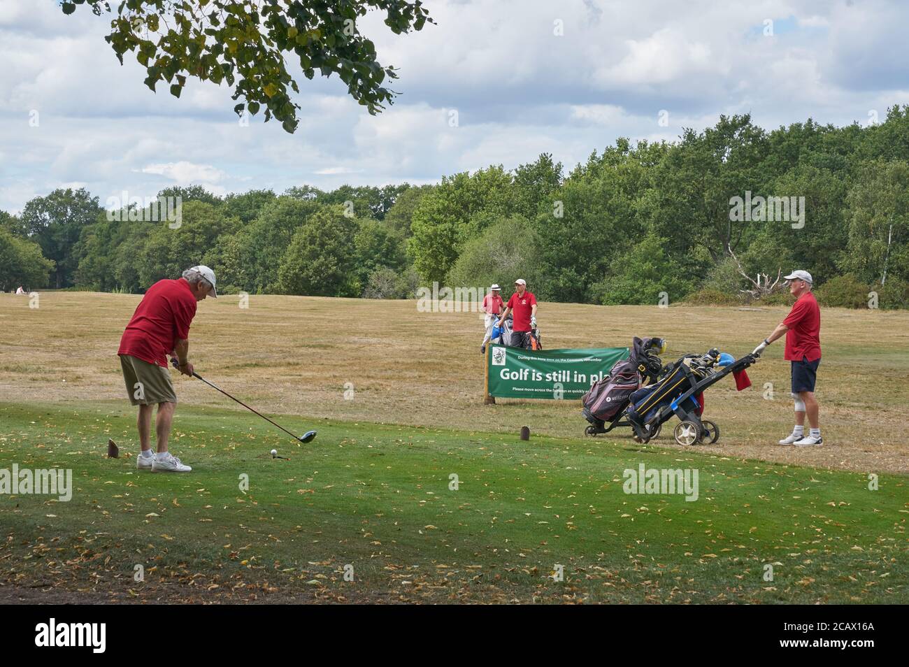 golf su wimbledon comune Foto Stock