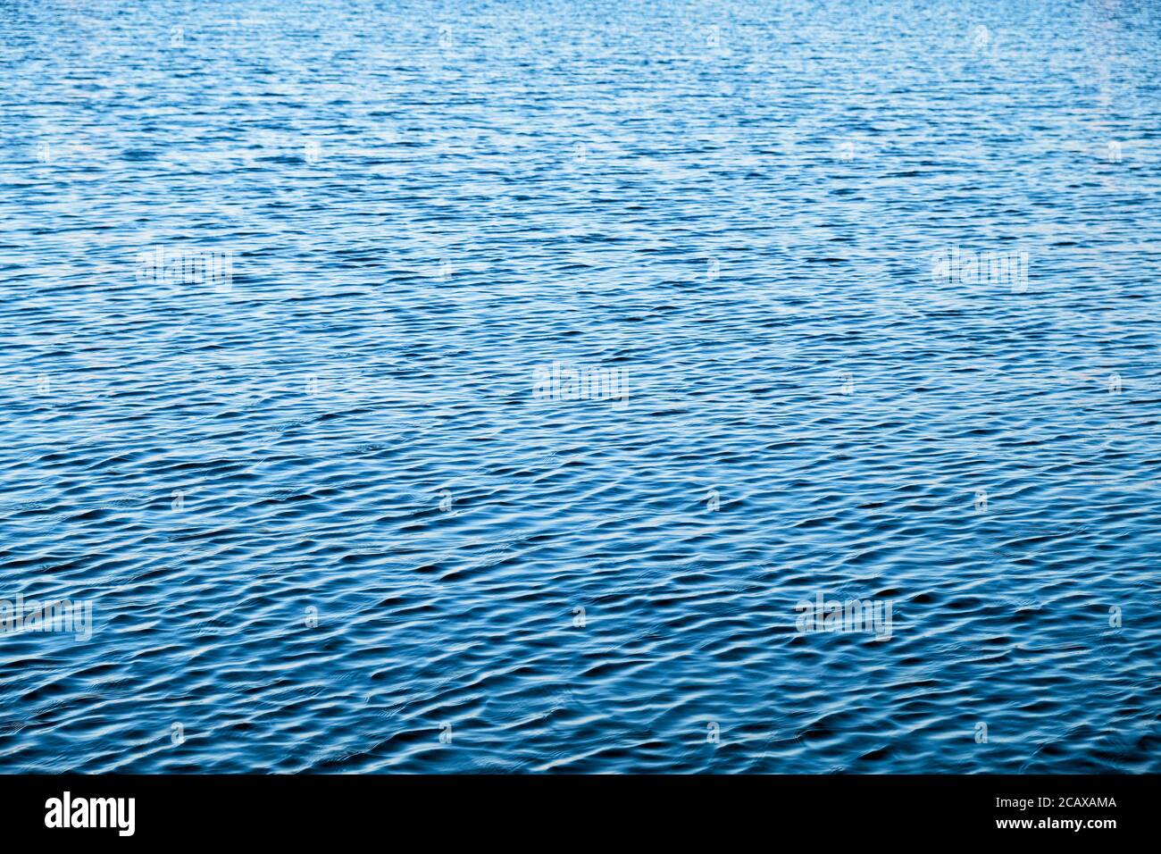 Superficie vuota per il testo con increspature sulla superficie dell'acqua. Foto Stock