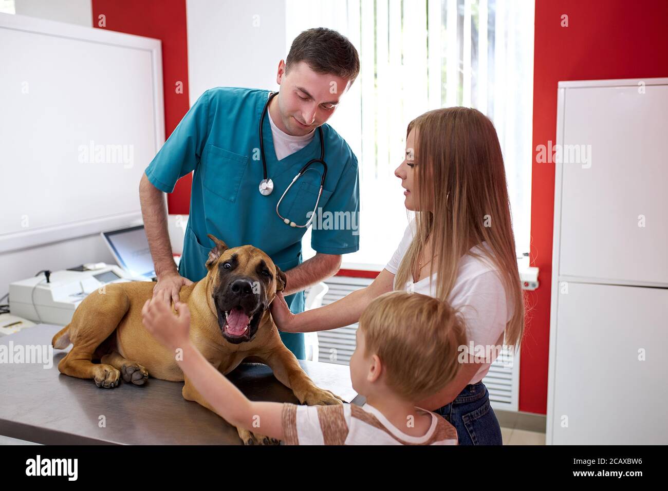 veterinario attento è preoccupato per la salute del cane, aiutarlo a curare, trattarlo in presenza dei suoi proprietari Foto Stock