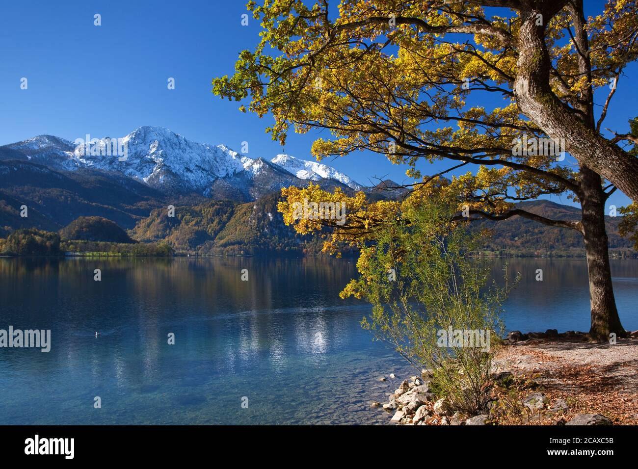Geografia / viaggio, Germania, Baviera, Kochel am See, autunno sul lago Kochel (Kochelsee), Kochel am , Additional-Rights-Clearance-Info-Not-Available Foto Stock