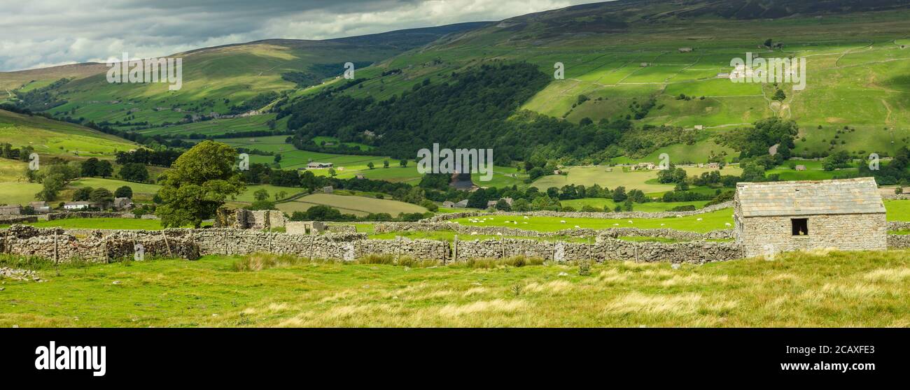 Swaledale nel Nord Yorkshire. Un panorama dei villaggi Yorkshire Dales di Gunnerside e Muker con fienile in pietra e muratura in pietra a secco. Spazio per la copia Foto Stock