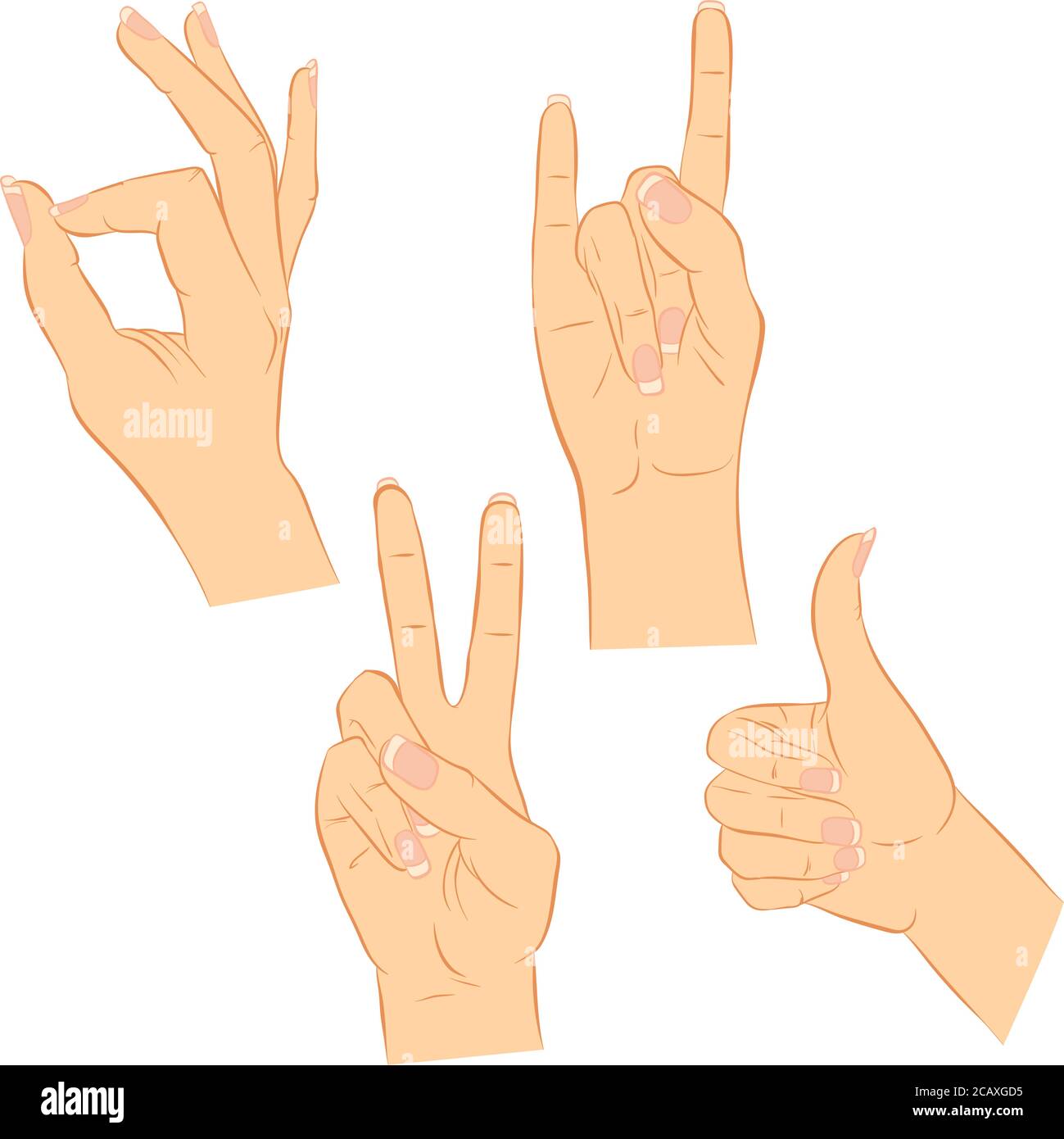 Illustrazione vettoriale di una mano femminile con unghie lunghe. Vari gesti. Impostare isolato su uno sfondo bianco Illustrazione Vettoriale