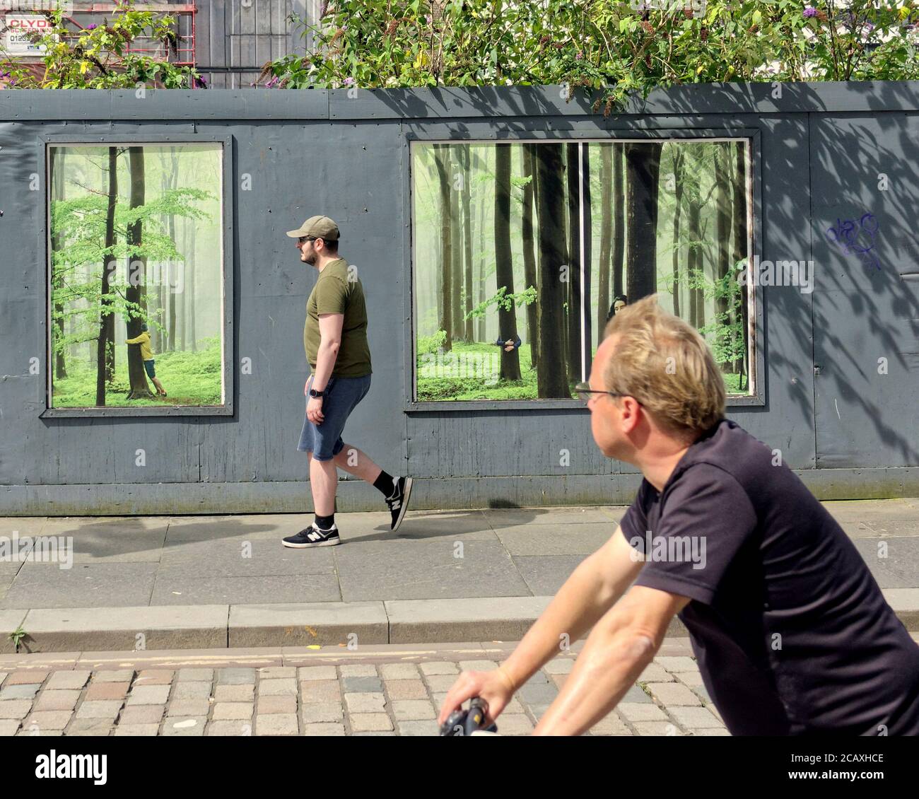 Arte di strada che abbruttano gli alberi nella città mercantile di Glasgow Foto Stock