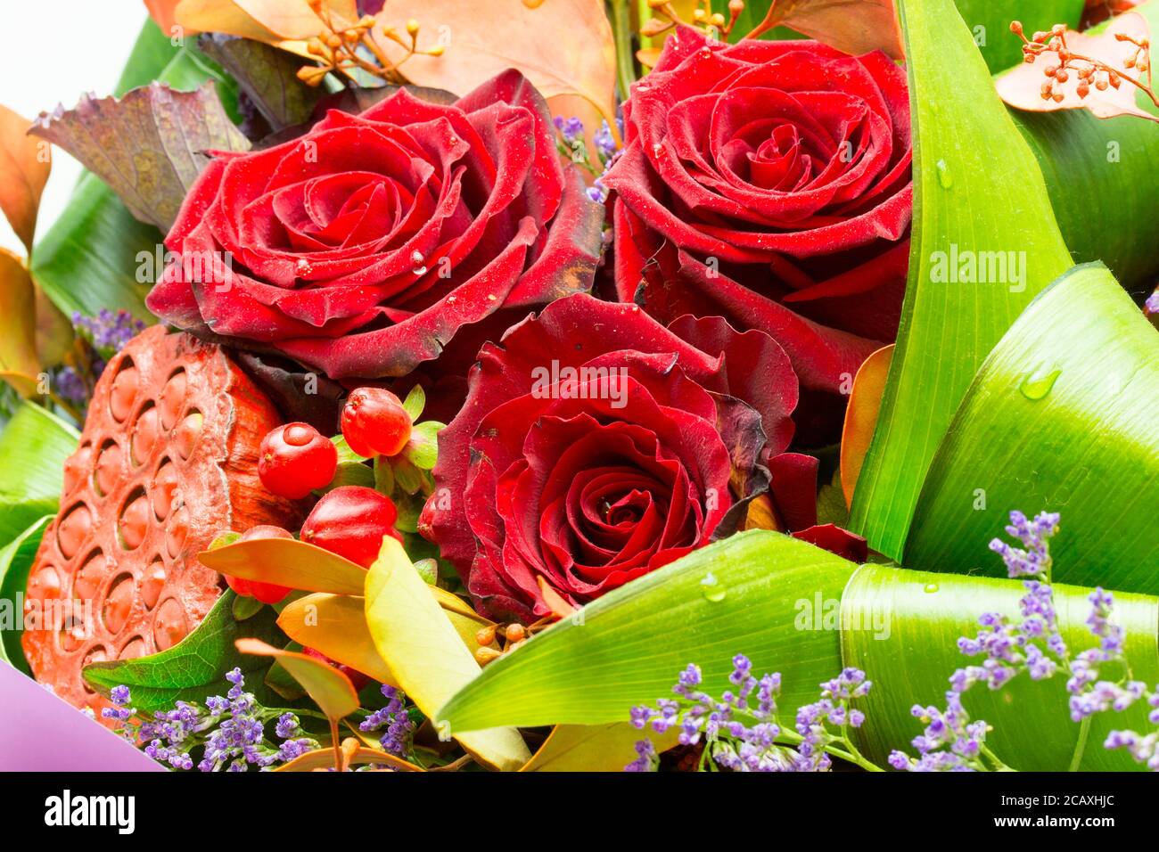 Bouquet di rose e fiori strani. Bel bouquet di rose rosse di velluto e piante diverse. Splendido lavoro fiorista Foto Stock